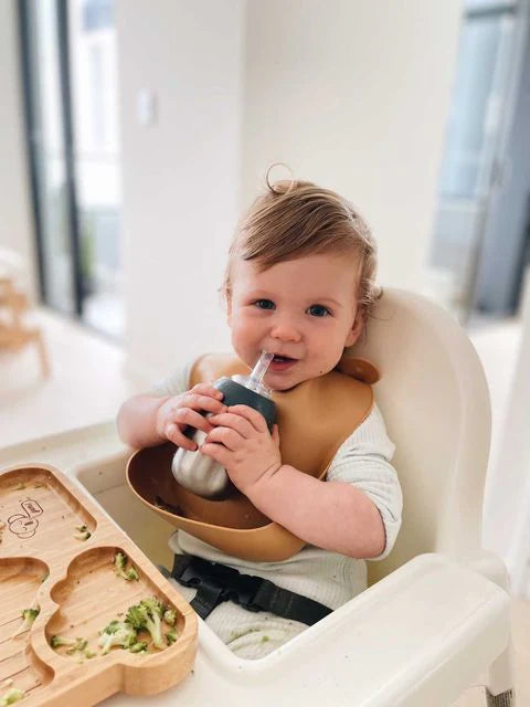 Toddler Straw Cup Adapters Twin Pack