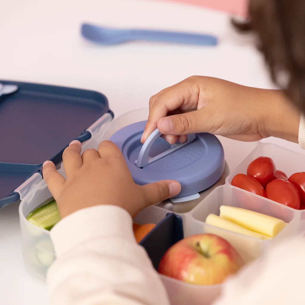 B.Box Insulated Stainless Steel Lunch Pod
