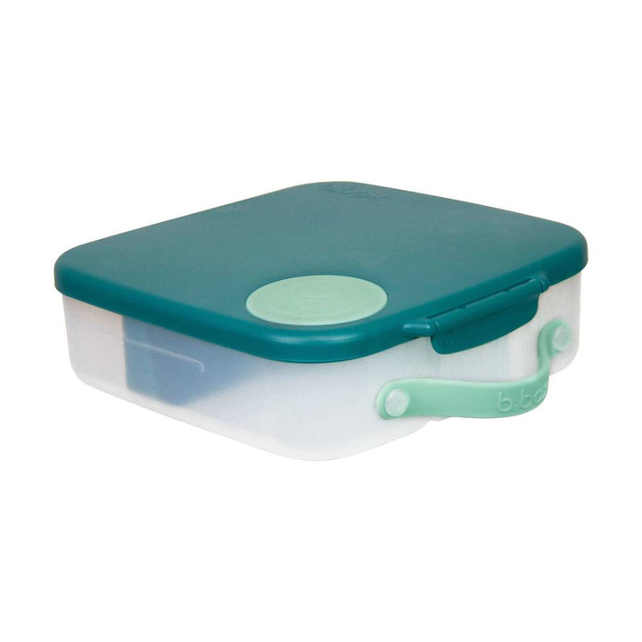 Lunch Box Emerald Forest