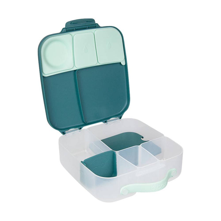 Lunch Box Emerald Forest
