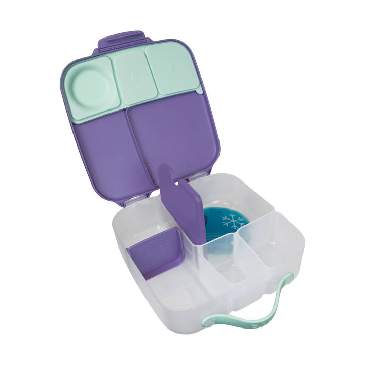 Lunch Box Lilac Pop