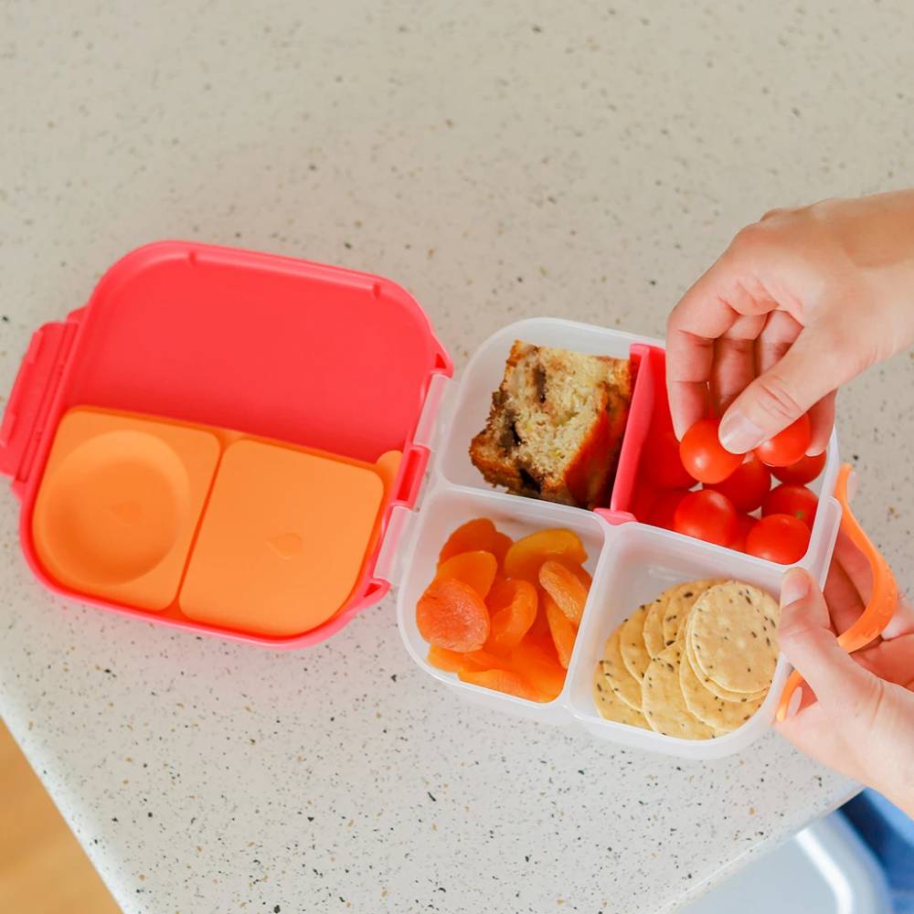 Mini Lunchbox Ocean Breeze