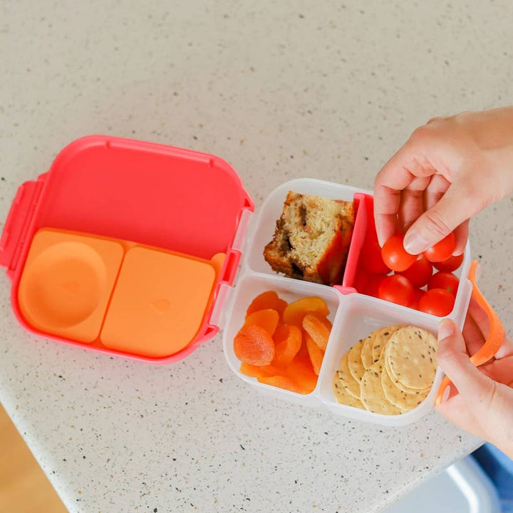 Mini Lunchbox Ocean Breeze