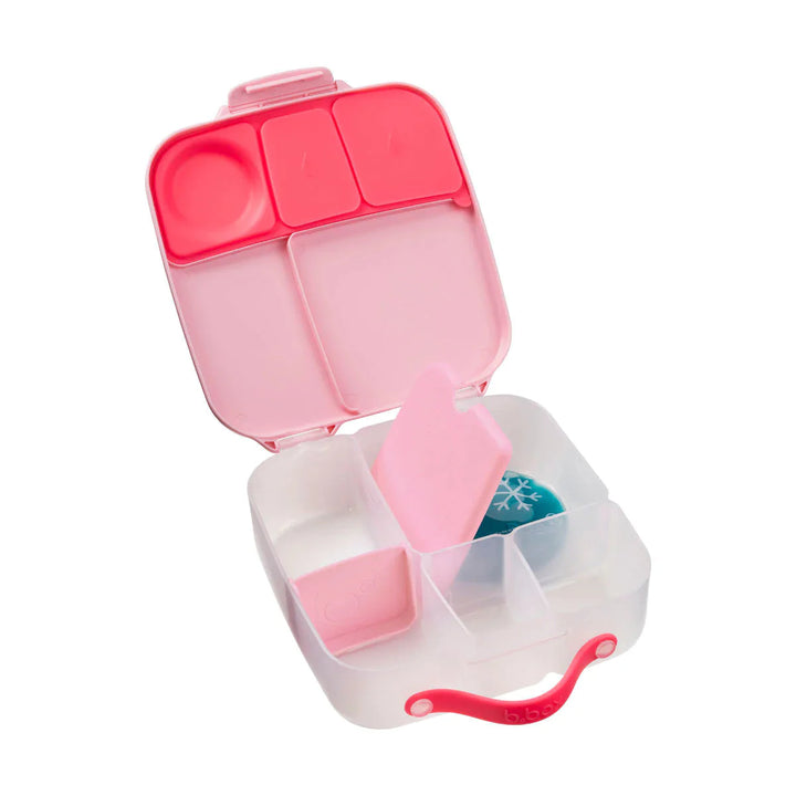 Lunch Box Flamingo Fizz