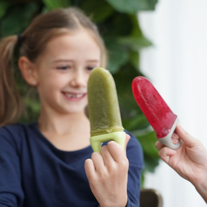 Melii 6 Piece Ice Pop Moulds With Tray