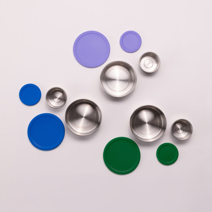 Stainless Steel Lunchbox Dipper Set Royal