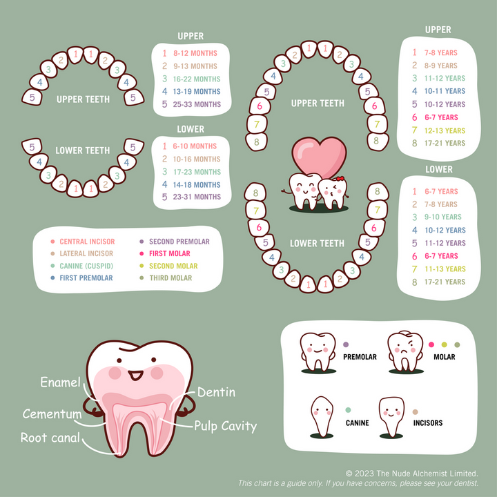 Teething Tamer