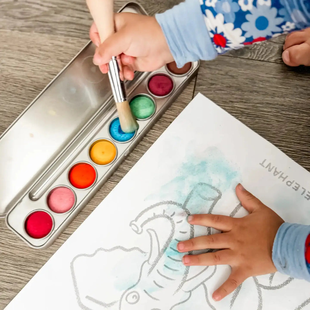 Honeysticks Toddlers First Colouring Book - Endangered Animals Adventure
