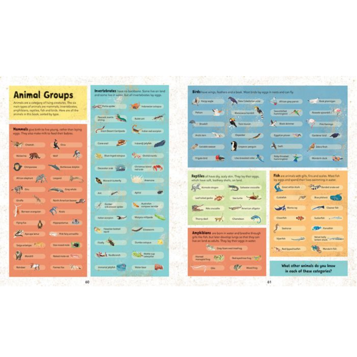 Barefoot Books Incredible Animals