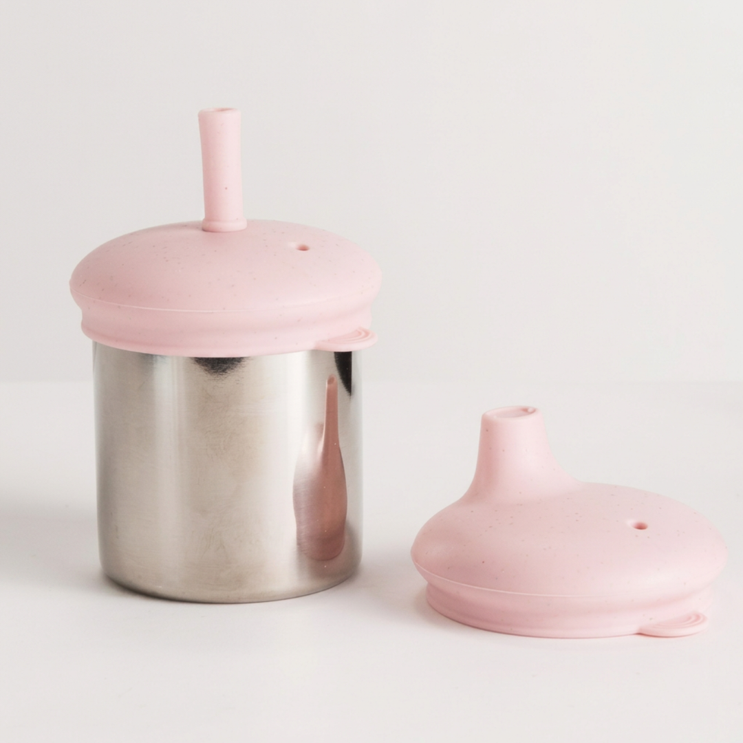 Nestling Stainless Insulated Sippy & Straw Cup