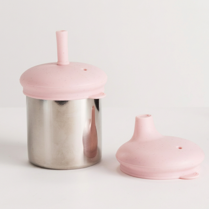 Nestling Stainless Insulated Sippy & Straw Cup